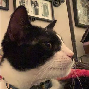 Meet your Posher, Joanne